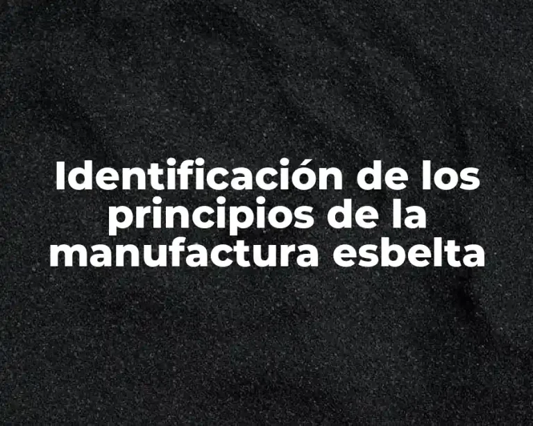 Identificación de los principios de la manufactura esbelta