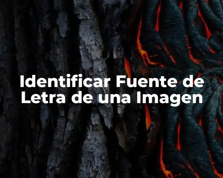Identificar Fuente de Letra de una Imagen