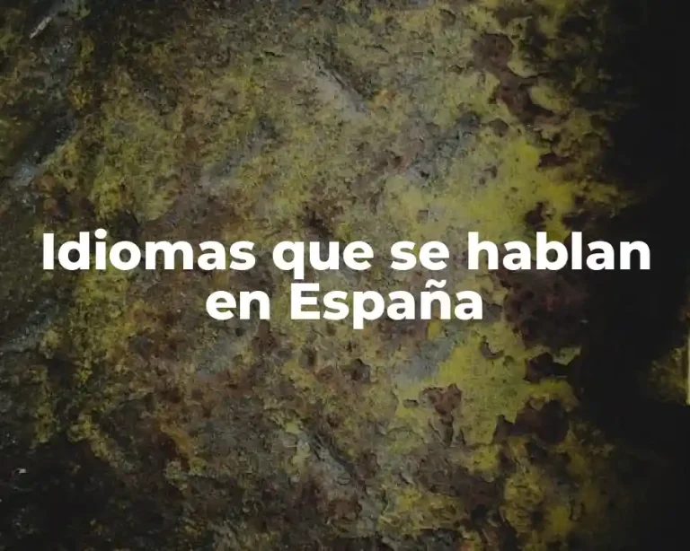 Idiomas que se hablan en España