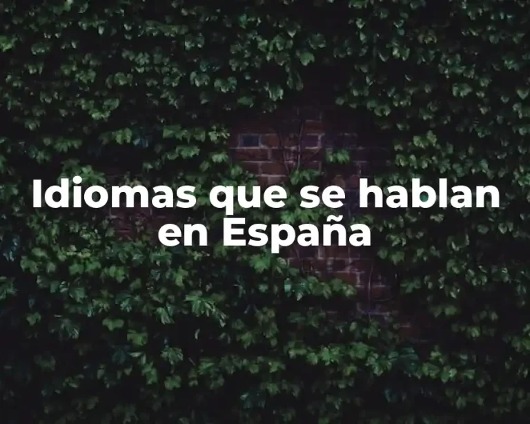 Idiomas que se hablan en España