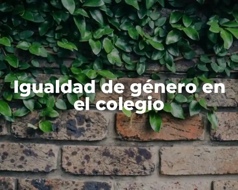 Igualdad de género en el colegio