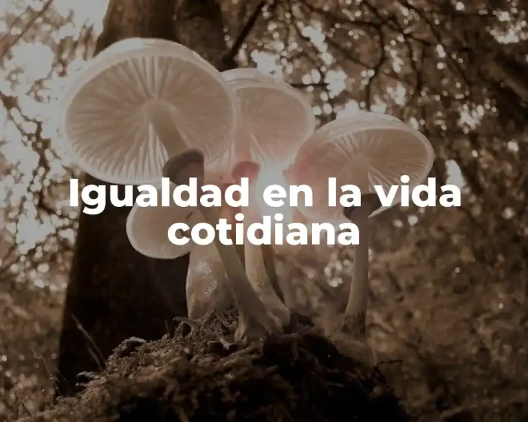 Igualdad en la vida cotidiana