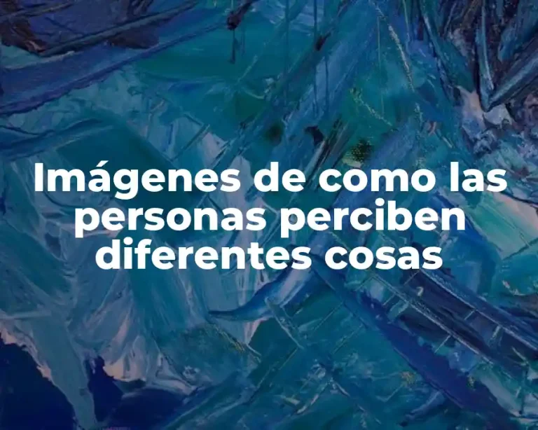 Imágenes de como las personas perciben diferentes cosas