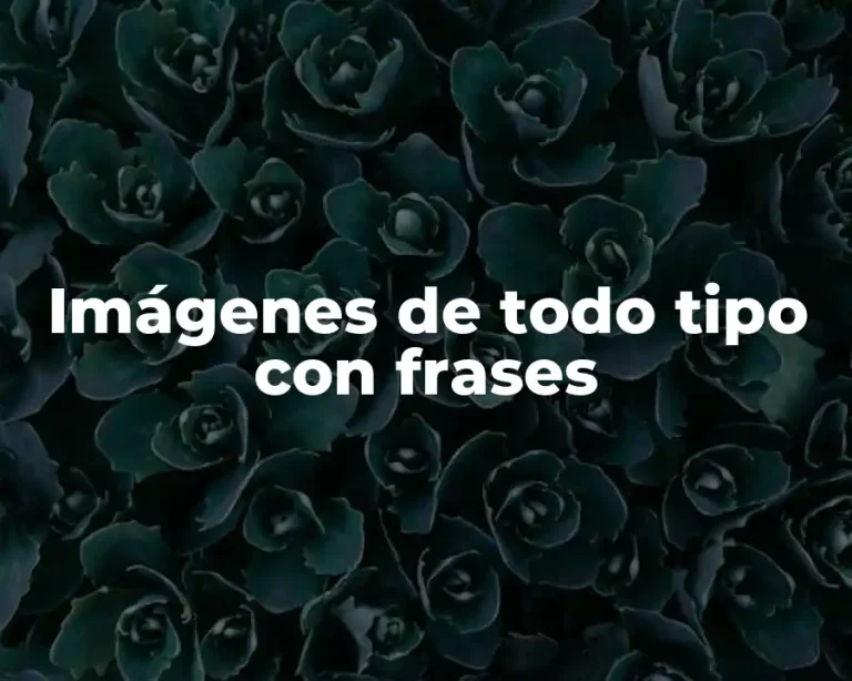 Imágenes de todo tipo con frases