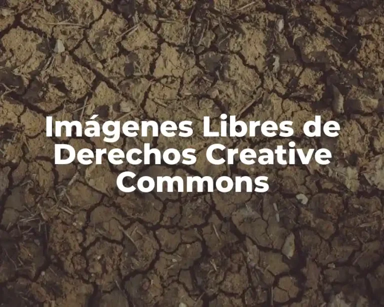 Imágenes Libres de Derechos Creative Commons