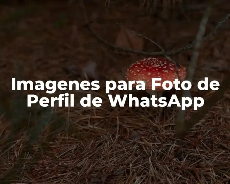 Imagenes para Foto de Perfil de WhatsApp
