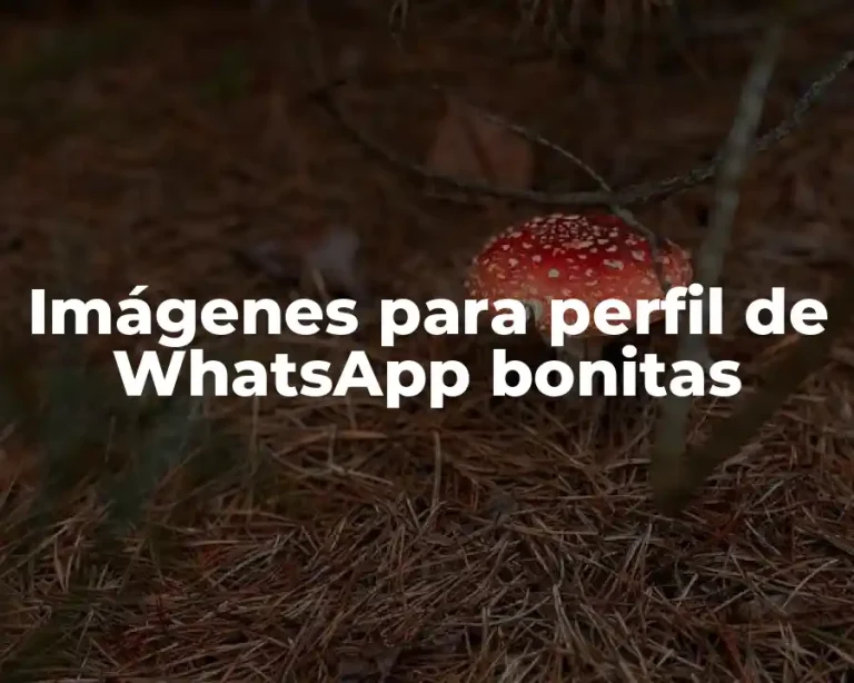 Imágenes para perfil de WhatsApp bonitas