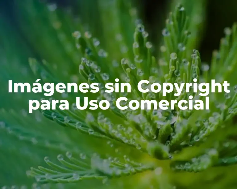 Imágenes sin Copyright para Uso Comercial