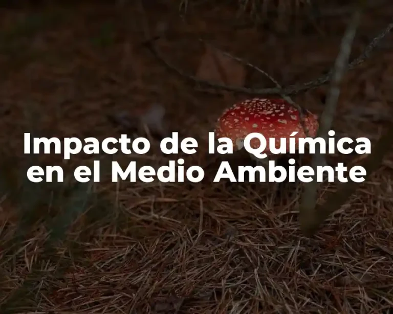 Impacto de la Química en el Medio Ambiente