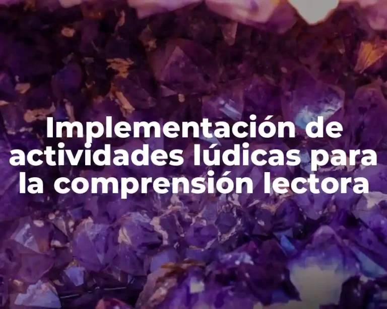 Implementación de actividades lúdicas para la comprensión lectora