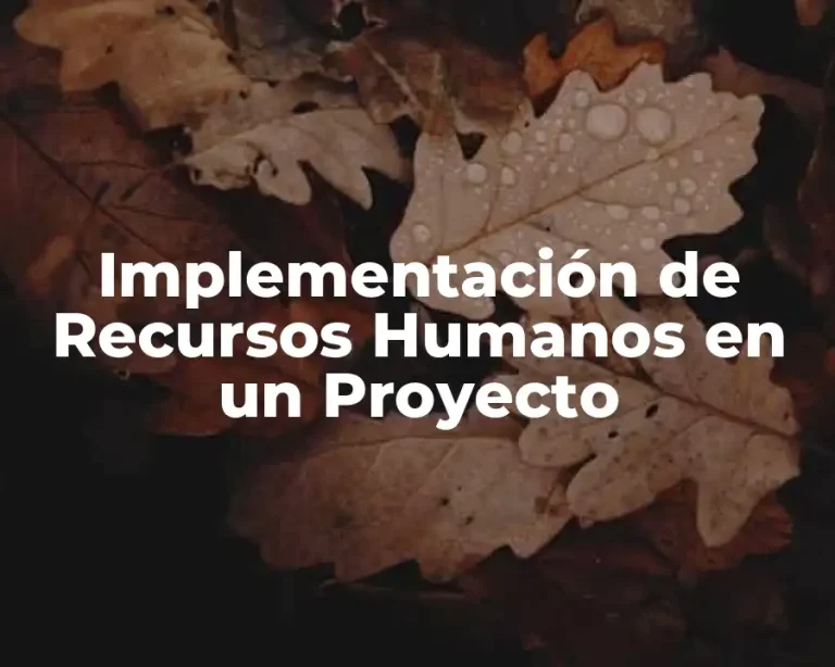 Implementación de Recursos Humanos en un Proyecto