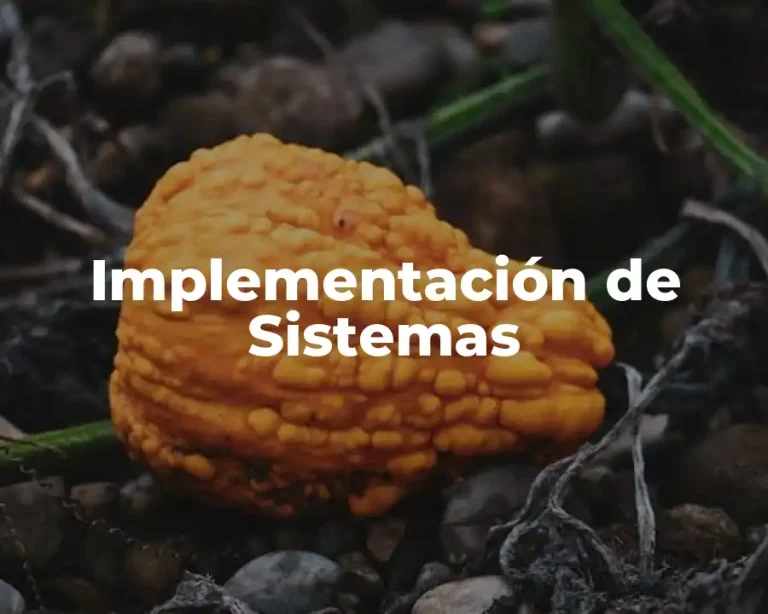 Implementación de Sistemas