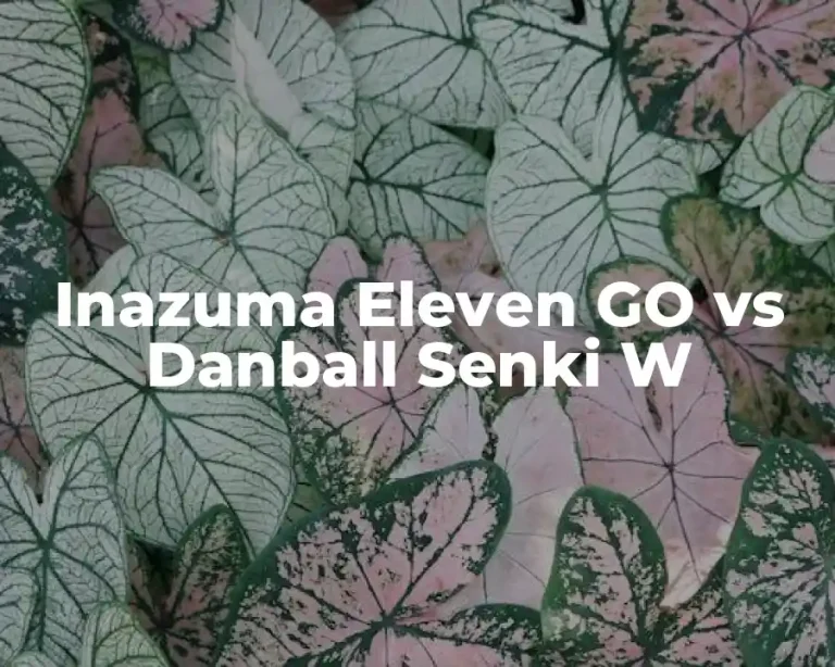 Inazuma Eleven GO vs Danball Senki W