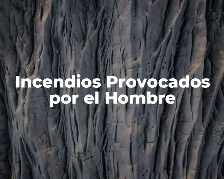 Incendios Provocados por el Hombre