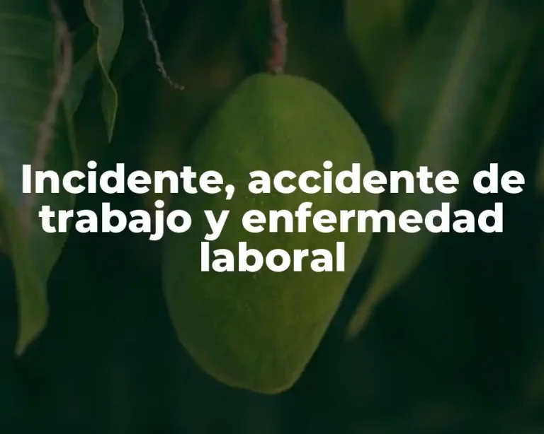 Incidente, accidente de trabajo y enfermedad laboral