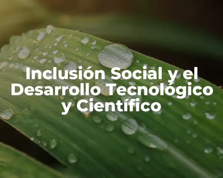 Inclusión Social y el Desarrollo Tecnológico y Científico