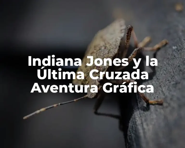 Indiana Jones y la Última Cruzada Aventura Gráfica