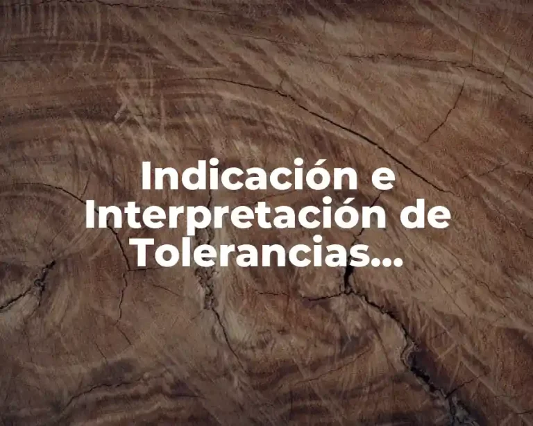 Indicación e Interpretación de Tolerancias Geométricas