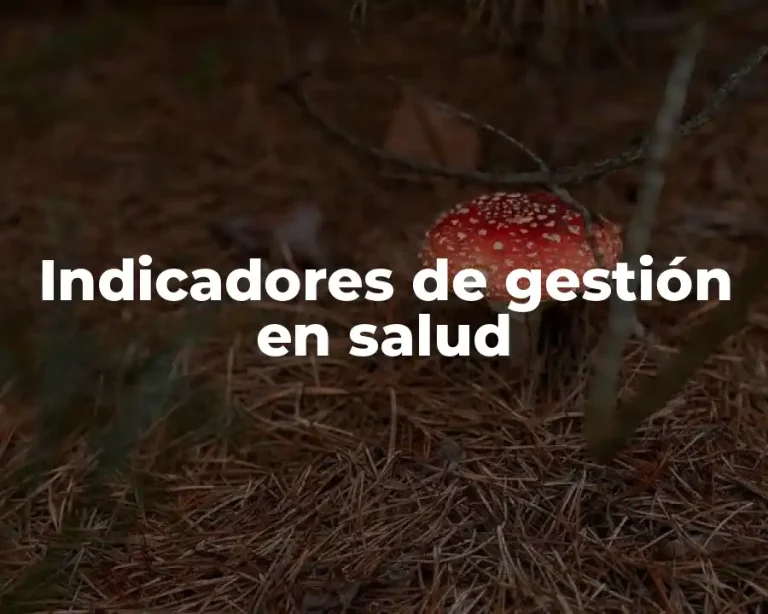Indicadores de gestión en salud