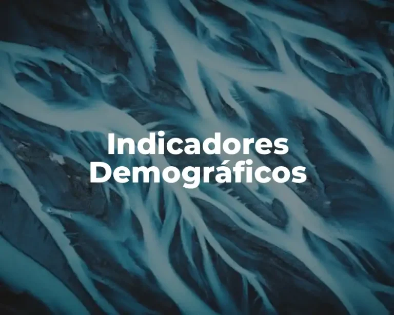 Indicadores Demográficos