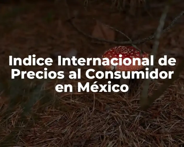 Indice Internacional de Precios al Consumidor en México