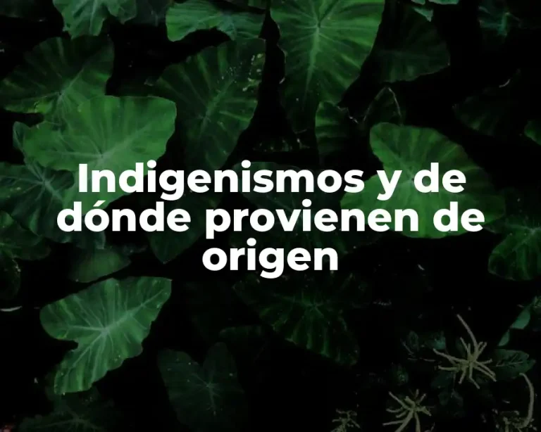 Indigenismos y de dónde provienen de origen
