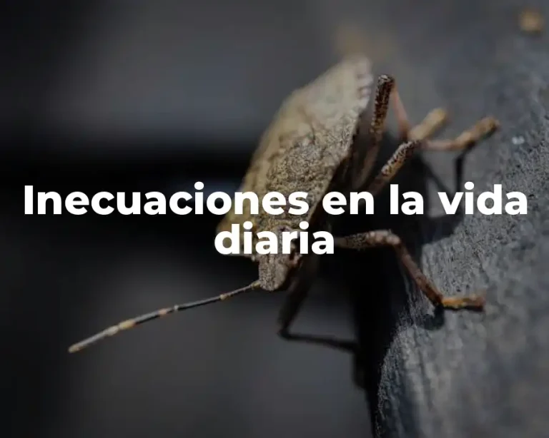 Inecuaciones en la vida diaria