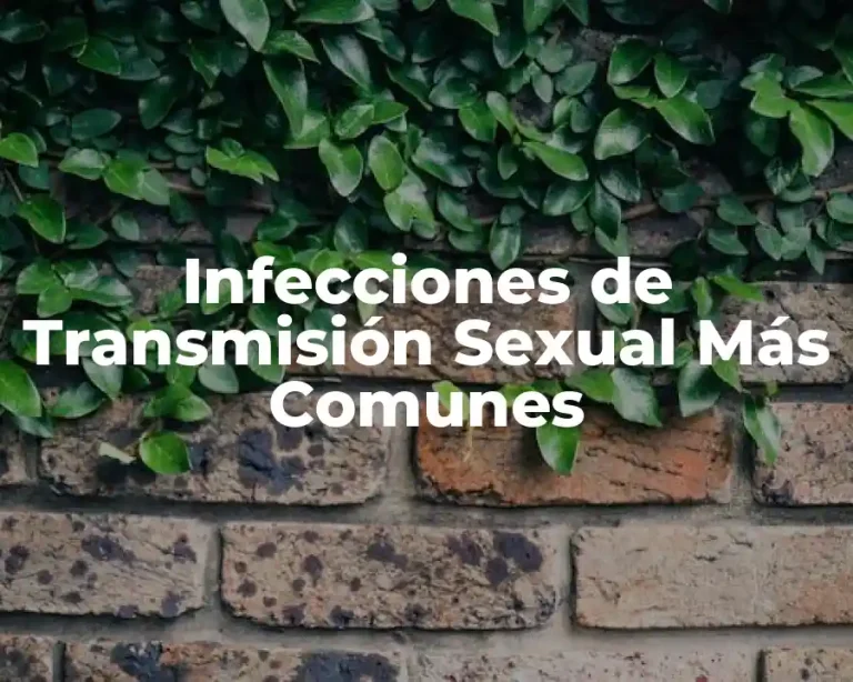 Infecciones de Transmisión Sexual Más Comunes
