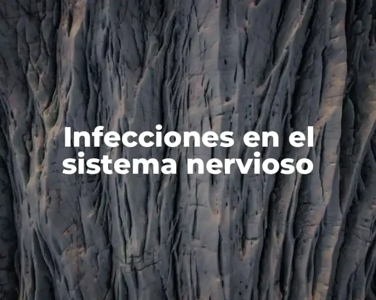Infecciones en el sistema nervioso