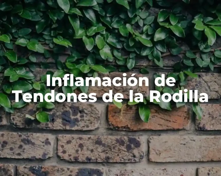 Inflamación de Tendones de la Rodilla