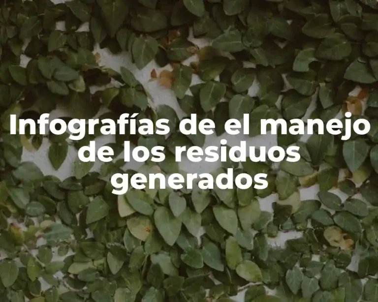 Infografías de el manejo de los residuos generados