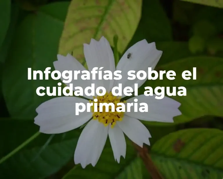 Infografías sobre el cuidado del agua primaria