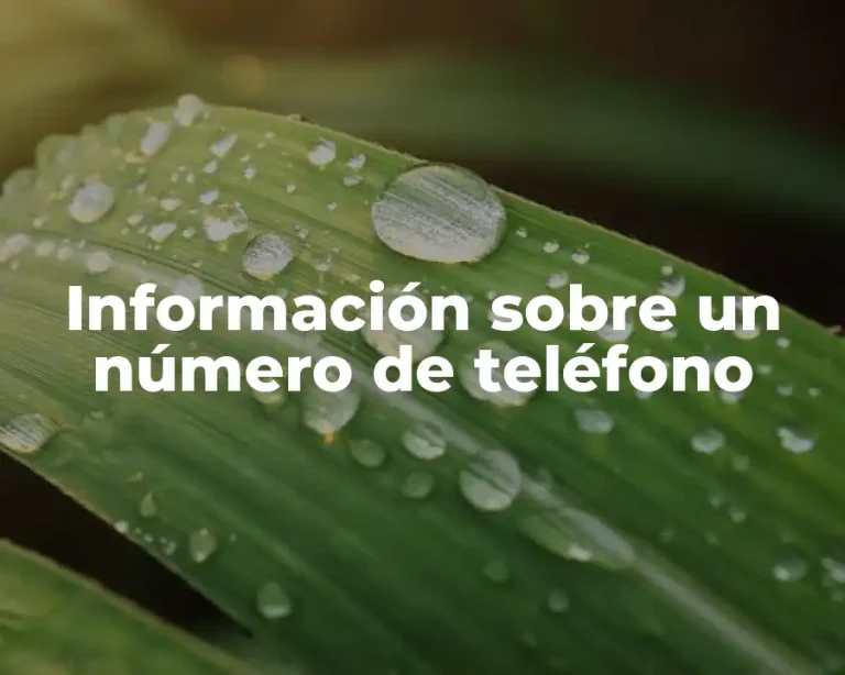 Información sobre un número de teléfono