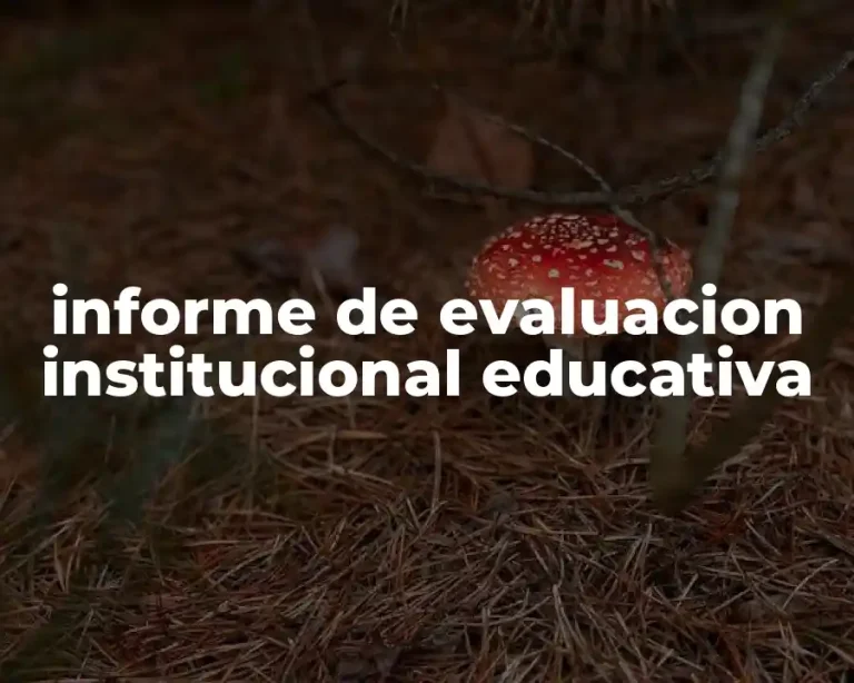 informe de evaluacion institucional educativa
