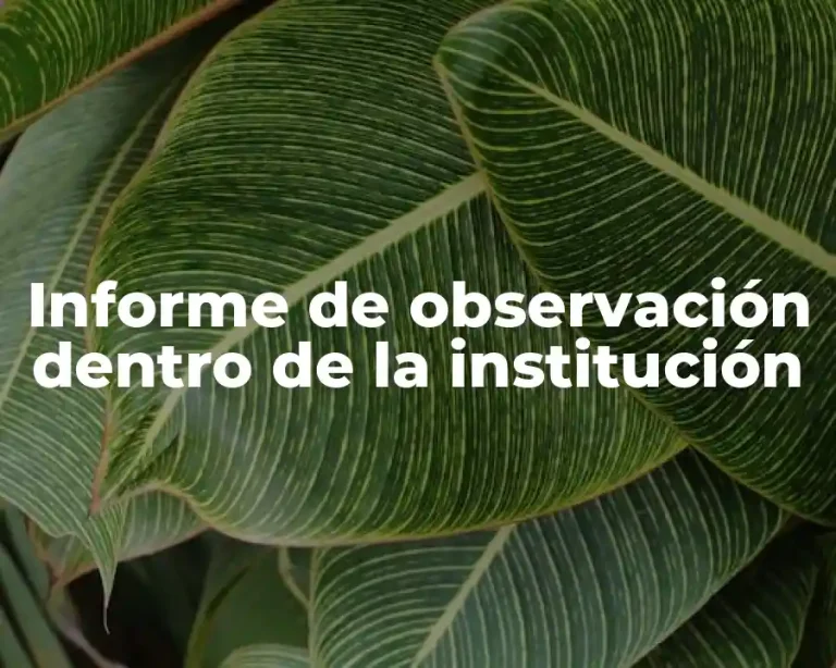 Informe de observación dentro de la institución