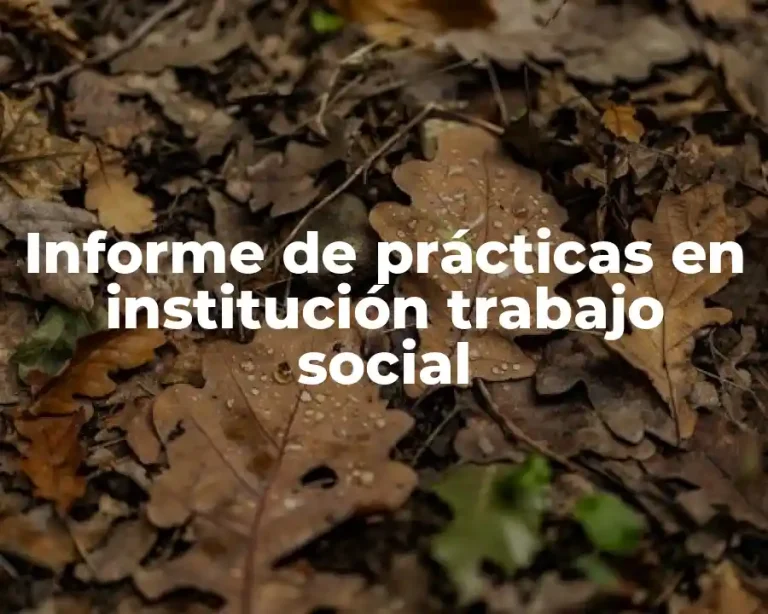 Informe de prácticas en institución trabajo social