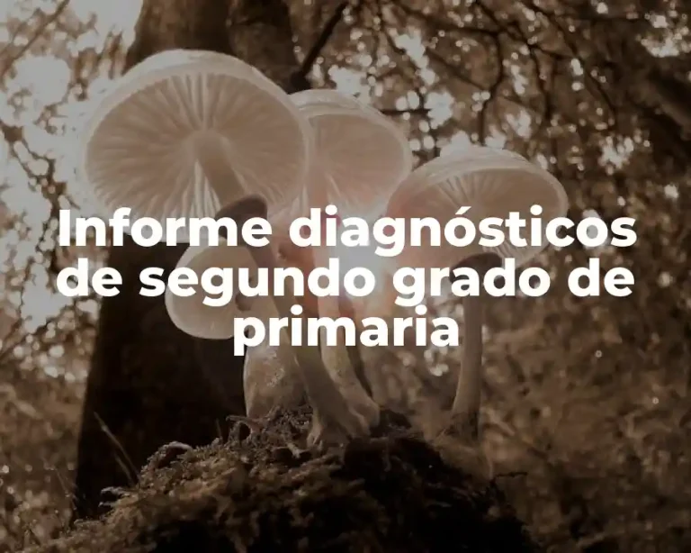 Informe diagnósticos de segundo grado de primaria