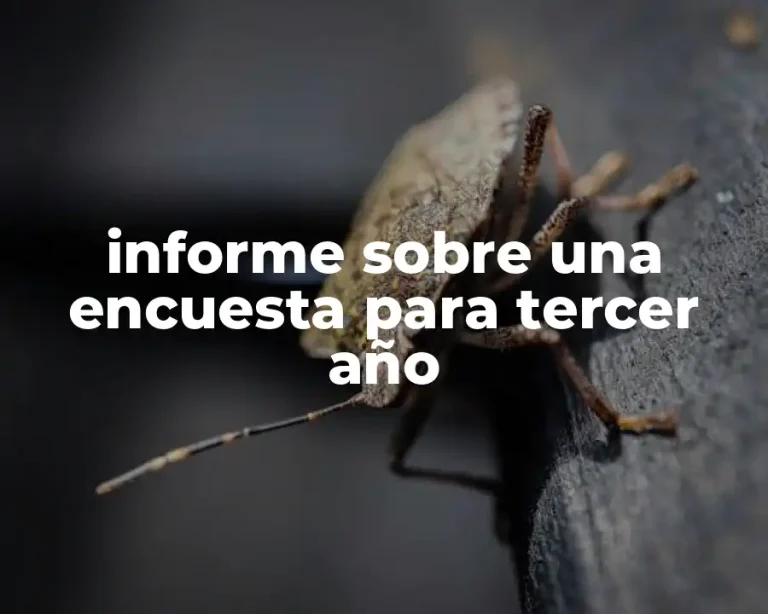 informe sobre una encuesta para tercer año