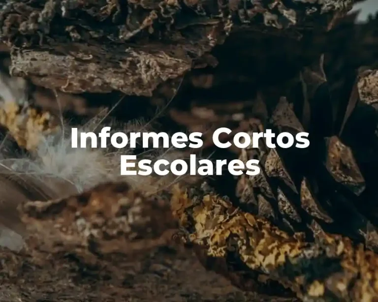 Informes Cortos Escolares