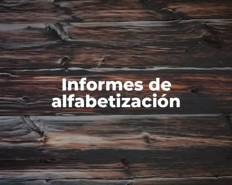 Informes de alfabetización