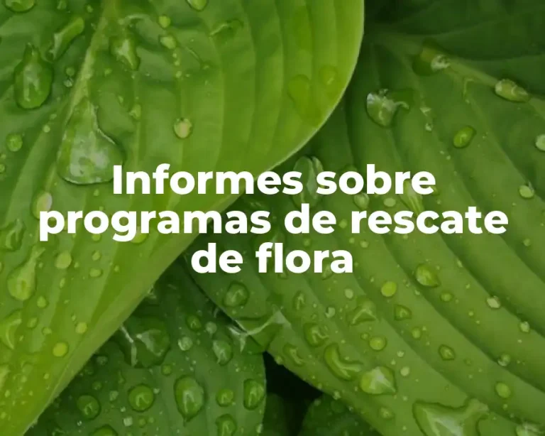Informes sobre programas de rescate de flora