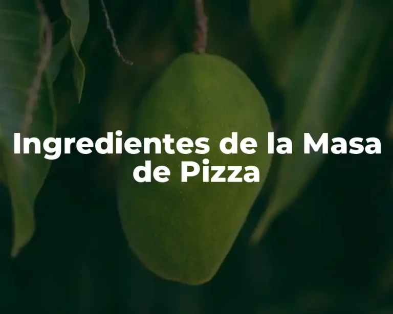 Ingredientes de la Masa de Pizza