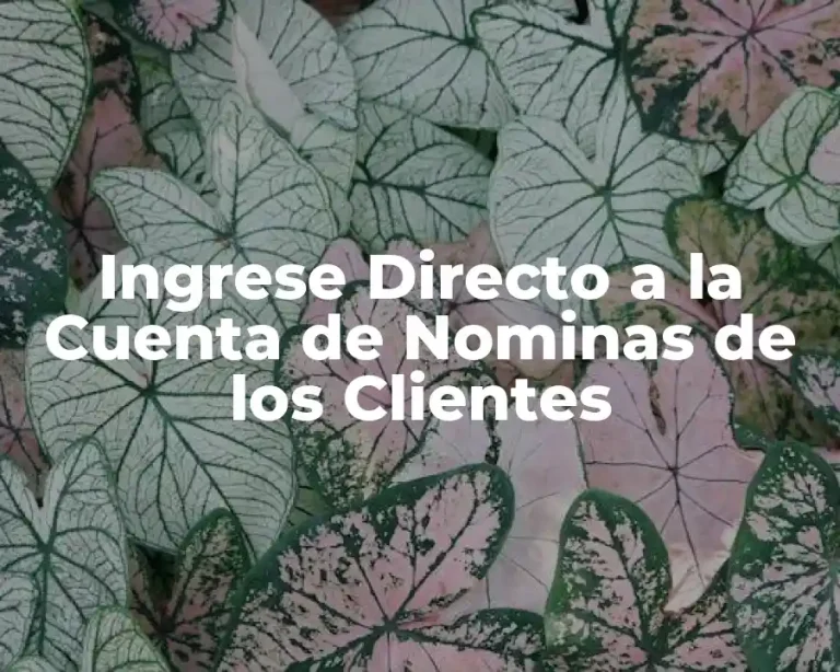 Ingrese Directo a la Cuenta de Nominas de los Clientes