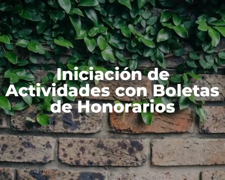 Iniciación de Actividades con Boletas de Honorarios