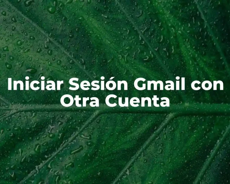 Iniciar Sesión Gmail con Otra Cuenta