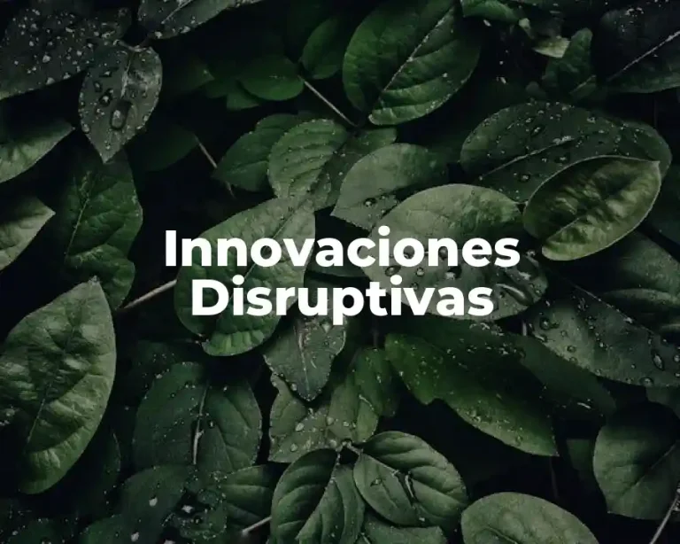 Innovaciones Disruptivas