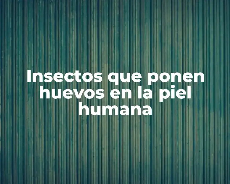 Insectos que ponen huevos en la piel humana