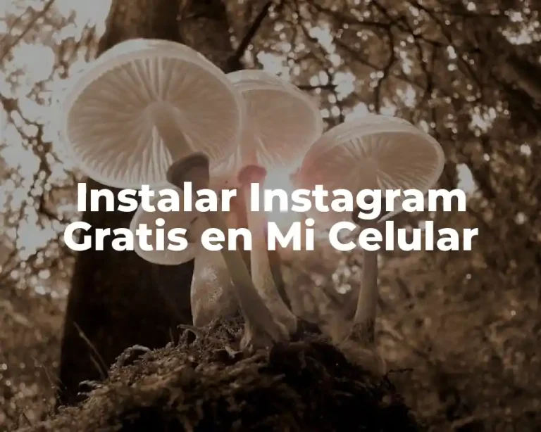 Instalar Instagram Gratis en Mi Celular