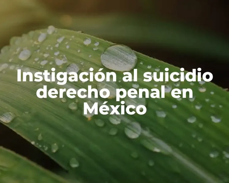 Instigación al suicidio derecho penal en México