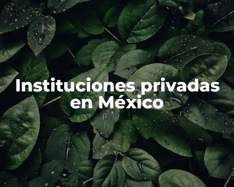 Instituciones privadas en México